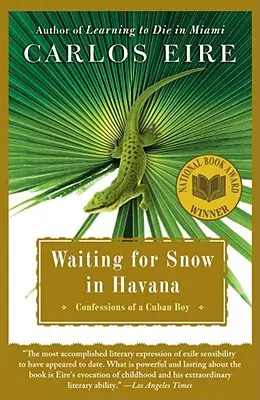 Hóra várva Havannában: Egy kubai fiú vallomásai - Waiting for Snow in Havana: Confessions of a Cuban Boy