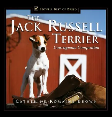 A Jack Russell Terrier: Bátor társ - The Jack Russell Terrier: Courageous Companion