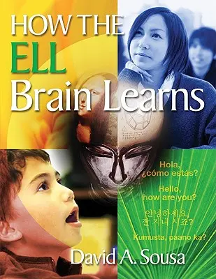 Hogyan tanul az Ell-agy - How the Ell Brain Learns