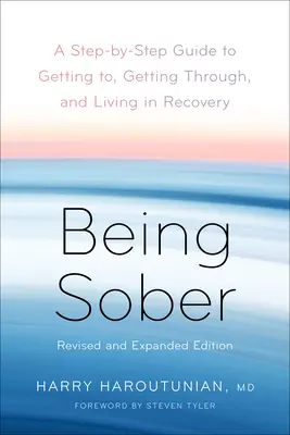 Being Sober: A Step-By-Step Guide to Getting To, Getting Through, and Living in Recovery, Revised and Expanded (Felülvizsgált és kibővített) - Being Sober: A Step-By-Step Guide to Getting To, Getting Through, and Living in Recovery, Revised and Expanded