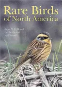 Észak-Amerika ritka madarai - Rare Birds of North America