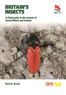 Britannia rovarai: A Field Guide to the Insects of Great Britain and Ireland (Nagy-Britannia és Írország rovarai) - Britain's Insects: A Field Guide to the Insects of Great Britain and Ireland