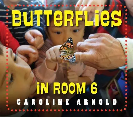 Pillangók a 6-os szobában: Nézd meg, hogyan nőnek! - Butterflies in Room 6: See How They Grow