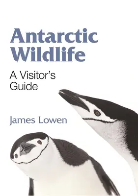 Antarktiszi vadvilág: A Visitor's Guide - Antarctic Wildlife: A Visitor's Guide