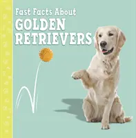 Gyors tények a golden retrieverekről - Fast Facts About Golden Retrievers