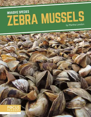 Zebra kagylók - Zebra Mussels