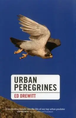 Városi sáskák - Urban Peregrines