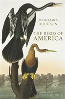 Amerika madarai - Birds of America