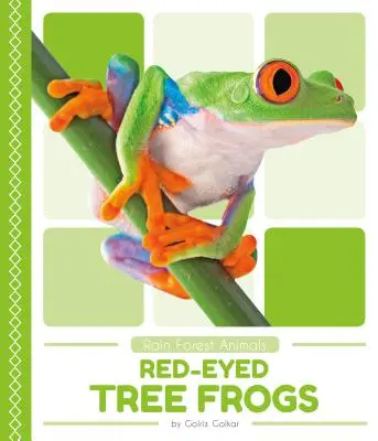 Vörös szemű fa békák - Red-Eyed Tree Frogs