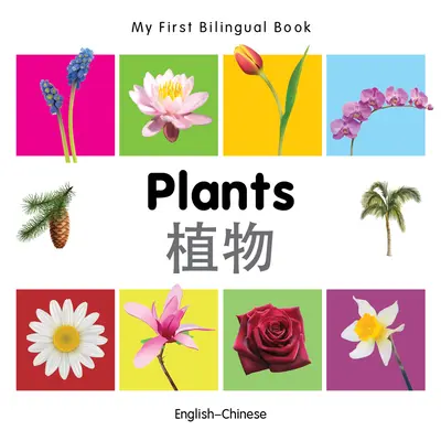 Az első kétnyelvű könyvem-Növények (angol-kínai) - My First Bilingual Book-Plants (English-Chinese)