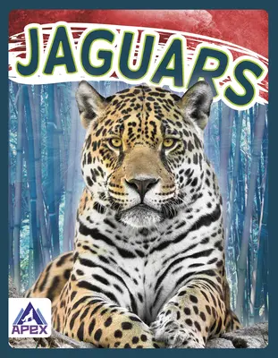 Jaguárok - Jaguars