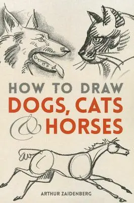 Hogyan rajzoljunk kutyákat, macskákat és lovakat? - How to Draw Dogs, Cats and Horses