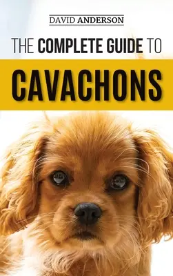 The Complete Guide to Cavachons: Választás, kiképzés, tanítás, etetés és szeretet a kavachon kutyádnak - The Complete Guide to Cavachons: Choosing, Training, Teaching, Feeding, and Loving Your Cavachon Dog