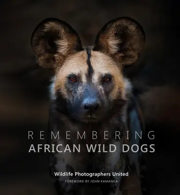 Emlékezés az afrikai vadkutyákra - Remembering African Wild Dogs