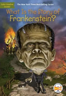 Mi Frankenstein története? - What Is the Story of Frankenstein?