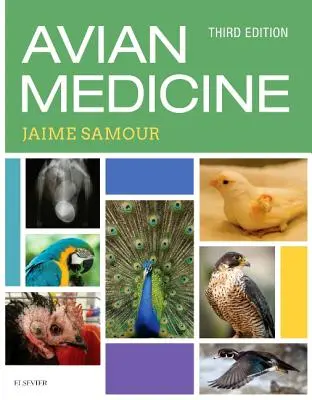 Madárgyógyászat - Avian Medicine