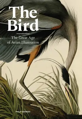 A madár: A madárábrázolás nagy korszaka - The Bird: The Great Age of Avian Illustration