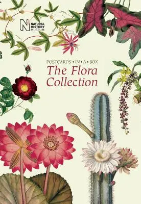 A növényvilág gyűjteménye: Képeslapok egy dobozban - The Flora Collection: Postcards in a Box