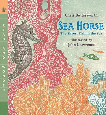 Tengeri ló: A tenger legfélénkebb halai - Sea Horse: The Shyest Fish in the Sea