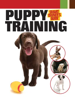 Kiskutya kiképzés - Puppy Training