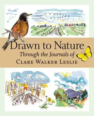 A természet vonzása: Clare Walker Leslie naplóin keresztül - Drawn to Nature: Through the Journals of Clare Walker Leslie