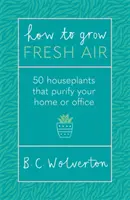 Hogyan termeljünk friss levegőt - 50 szobanövény az otthon vagy az iroda megtisztításához - How To Grow Fresh Air - 50 Houseplants To Purify Your Home Or Office