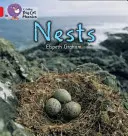 Fészkek - Nests