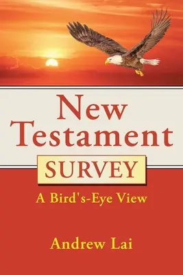 Újszövetségi áttekintés: Madártávlatból - New Testament Survey: A Bird's-Eye View