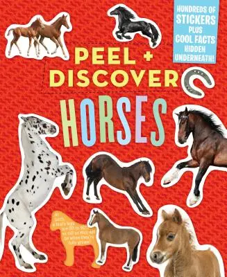 Peel + Discover: Horses