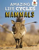 Emlősök - Csodálatos életciklusok - Mammals - Amazing Life Cycles