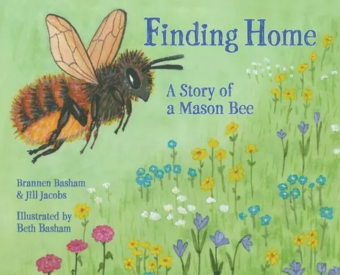 Az otthon megtalálása: Egy kőművesméh története - Finding Home: A Story of a Mason Bee