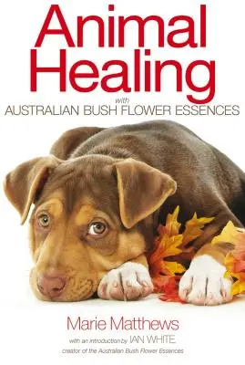 Állatok gyógyítása ausztrál bokorvirág-esszenciákkal - Animal Healing with Australian Bush Flower Essences