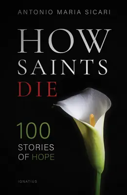 Hogyan halnak meg a szentek: 100 történet a reményről - How Saints Die: 100 Stories of Hope