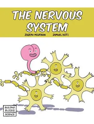 Az idegrendszer - The Nervous System