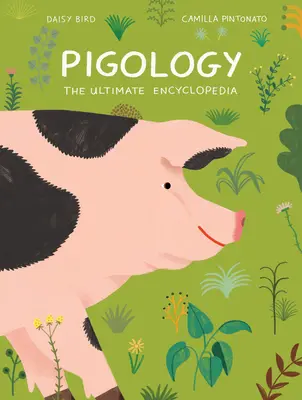 Pigológia: A végső enciklopédia - Pigology: The Ultimate Encyclopedia