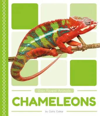 Kaméleonok - Chameleons