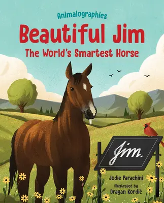 Gyönyörű Jim: A világ legokosabb lova - Beautiful Jim: The World's Smartest Horse