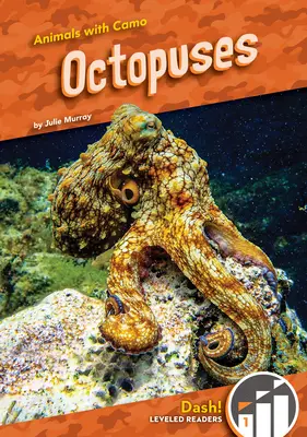 Polipok - Octopuses