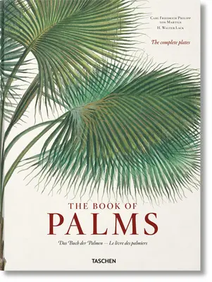 Martius. a Pálmák könyve - Martius. the Book of Palms