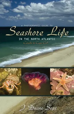 A Photographic Guide to Seashore Life in the North Atlantic: Kanada és Cape Cod között - A Photographic Guide to Seashore Life in the North Atlantic: Canada to Cape Cod