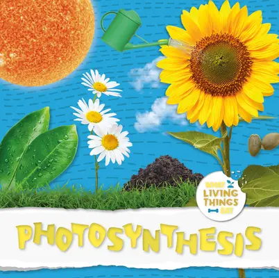 Fotoszintézis - Photosynthesis