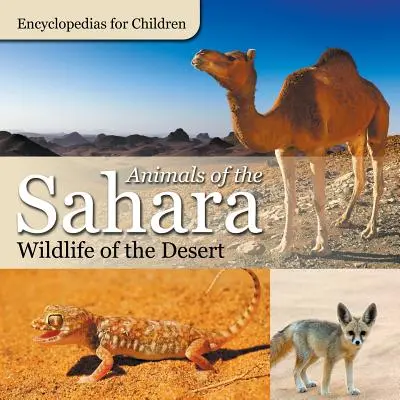 A Szahara állatai A sivatag élővilága Enciklopédiák gyerekeknek - Animals of the Sahara Wildlife of the Desert Encyclopedias for Children