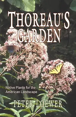 Thoreau kertje - Thoreau's Garden