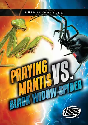 Imádkozó sáska vs. Fekete özvegy pók - Praying Mantis vs. Black Widow Spider