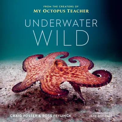 Víz alatti vadság: Polip tanárnőm rendkívüli világa - Underwater Wild: My Octopus Teacher's Extraordinary World
