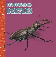 Gyors tények a bogarakról - Fast Facts About Beetles