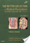 Az orvosi illusztrációk Netter-gyűjteménye: Húgyúti rendszer, 5: 5. kötet - The Netter Collection of Medical Illustrations: Urinary System, 5: Volume 5