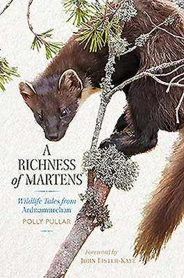 A Martensek gazdagsága: Vadvilági történetek a Felföldről - A Richness of Martens: Wildlife Tales from the Highlands