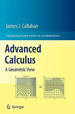 Advanced Calculus: Geometriai szemlélet - Advanced Calculus: A Geometric View