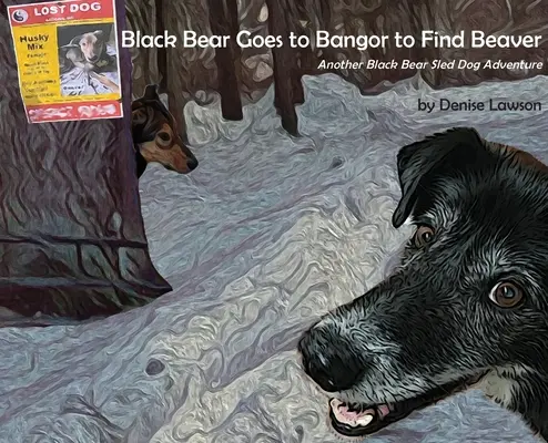 Fekete medve megy Bangorba, hogy megtalálja a hódot - Black Bear Goes to Bangor to Find Beaver